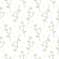 Cute seamless repeating pattern with daisies on a white background, floral motif. Ornamental background.For wrapping paper, fabric and product design.Vector vector