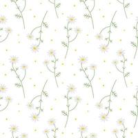 Cute seamless repeating pattern with daisies on a white background, floral motif. Ornamental background.For wrapping paper, fabric and product design.Vector vector