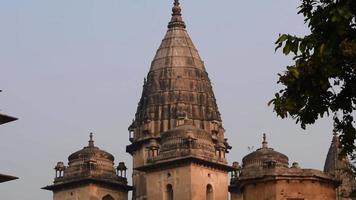 ochtendmening van koninklijke cenotaven chhatris van orchha, madhya pradesh, india, orchha de verloren stad van india, indische archeologische vindplaatsen video