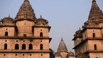 ochtendmening van koninklijke cenotaven chhatris van orchha, madhya pradesh, india, orchha de verloren stad van india, indische archeologische vindplaatsen video