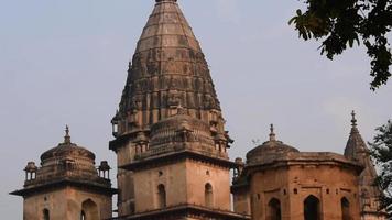 morgonvy av kungliga cenotafer chhatris of orchha, madhya pradesh, indien, orchha den förlorade staden i indien, indiska arkeologiska platser video