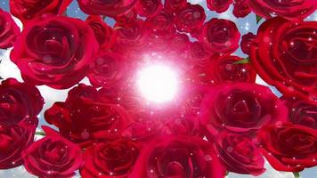 Rose Partikel Hintergrund Schleife video