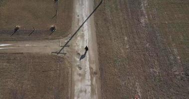 aérien drone de Jeune sans abri haute école vieilli garçon en marchant video