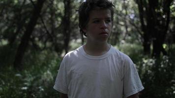 Young Teenage Boy Walking In Trees And Woods video