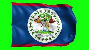 belize 3d acenando bandeira em verde tela. video