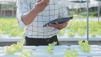 asiatisch Frau und Mann Farmer Arbeiten zusammen im organisch hydroponisch Salat Gemüse Bauernhof. mit Tablette prüfen Qualität von Grüner Salat im Gewächshaus Garten. Clever Landwirtschaft video