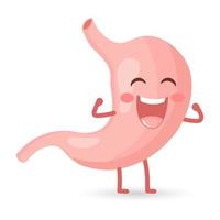 Healthy cheerful human stomach character laughs with happiness. Healthy diet. Anatomy of the digestive system. Vector in flat style