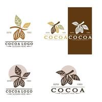 cocoa logo,cocoa bean,cocoa tree,cocoa branches and leaves,chocolate mix on white background,vintage,modern,simple,minimalist icon illustration template design vector