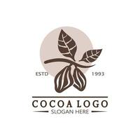 cocoa logo,cocoa bean,cocoa tree,cocoa branches and leaves,chocolate mix on white background,vintage,modern,simple,minimalist icon illustration template design vector