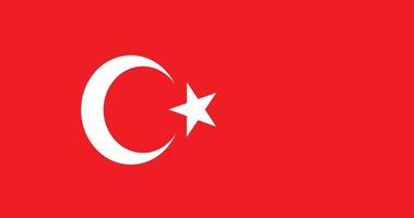 Simple Turkey Flag, vector Turkey flag, flat flag design