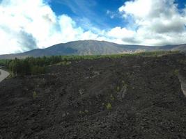 Mount Etna volcanic landscape and its typical vegetation, Sicily photo