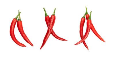 Group of chili isolated for design element photo