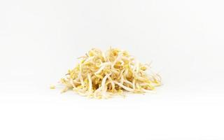 Mung bean sprouts isolated in clipping path photo