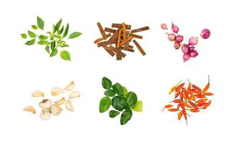 Set of herb and vegetable isolated photo