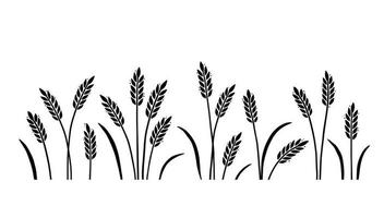 Wheat, barley, field background for oat, vector