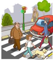 personas en calle. peatonal cruce la carretera en paso de peatones con calle luces dibujos animados vector