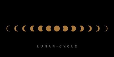 Lunar Cycle on black background with golden color. vector