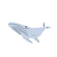 Whale, ocean animal. Sealife in Scandinavian style on a white background. Great for poster, card, apparel print. Vector illustration