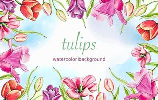 Hand draw watercolor floral tulip background. Border with spring flowers. vector