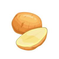 potato food cartoon vector illustration