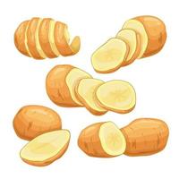 Ilustración de vector de dibujos animados conjunto de alimentos vegetales de patata