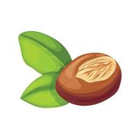 shea natural butter cartoon vector illustration