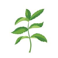 stevia diet cartoon vector illustration