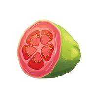 guava fruit fresh food cartoon vector illustration