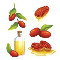 jojoba natural oil set cartoon vector illustration