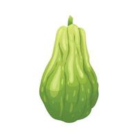 chayote fresh cartoon vector illustration