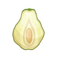 chayote Fresco dibujos animados vector ilustración