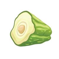 chayote fresh cartoon vector illustration