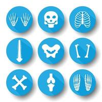 Cartoon skeleton body parts vector icons. set of human bone illustration and bone x-ray.