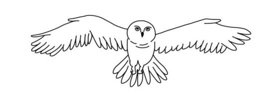 White owl in outline cartoon doodle style. Hand drawn vector illustration isolated on white background.