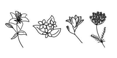 Flowers set in outline doodle flat style. Vector illustration set on white background.