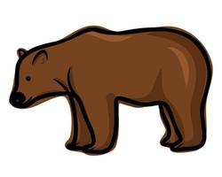 Bear isolated on white background vector