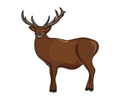 Deer isolated on white background, doodle vector