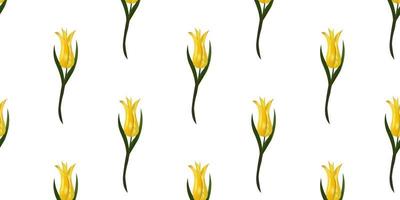 Seamless pattern with yellow tulips vector