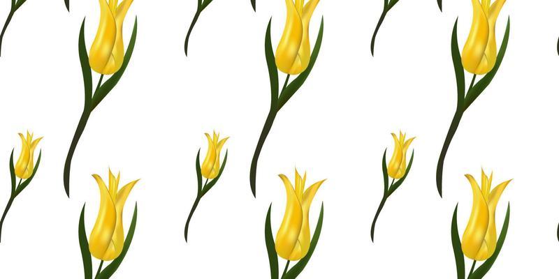 Seamless pattern with yellow tulips