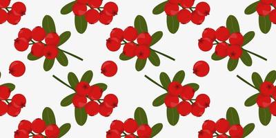 Seamless pattern with cranberries or lingonberries. vector