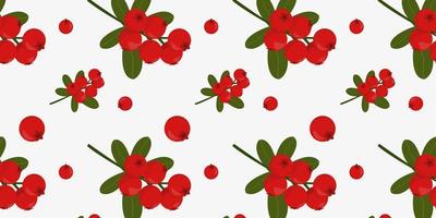 Seamless pattern with cranberries or lingonberries. vector