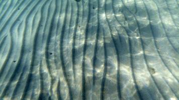 sand bottom underwater swimming in turquoise lagoon photo