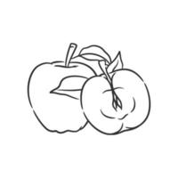 Apple line art vector illustration