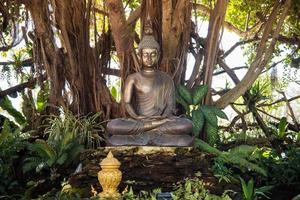 el Buda estatua sentado debajo el grande árbol en wat rong khun Antiguo Testamento blanco templo en chiang rai provincia de tailandia foto