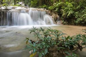 Pu Kaeng waterfall the most beautiful limestone waterfall in Chiang Rai province of Thailand. photo