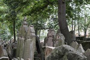 jewish old cemetery in prague photo