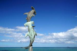 hammered shark statue in La Paz Baja California Sur, Mexico beach promenade called Malecon photo