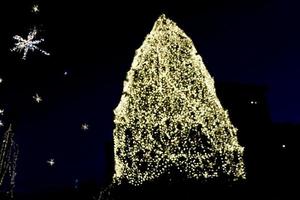 real xmas tree light shape photo