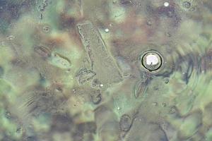 air bubble trapped inside frozen ice lake water photo