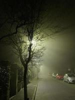 light of street lamp is scattered by tree branches photo